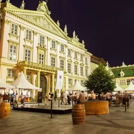 Queen Flat In Old Town With Castle View 아파트