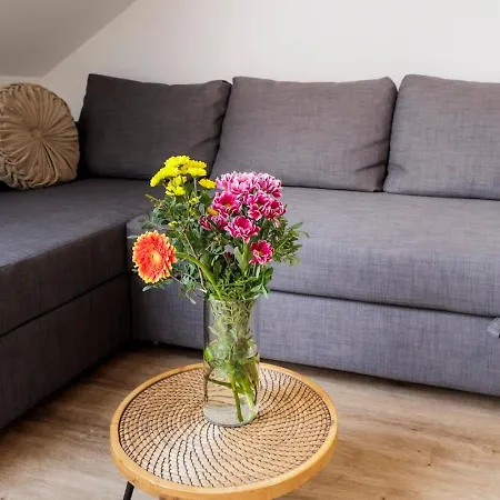 Apartment Queen Flat In Old Town With Castle View